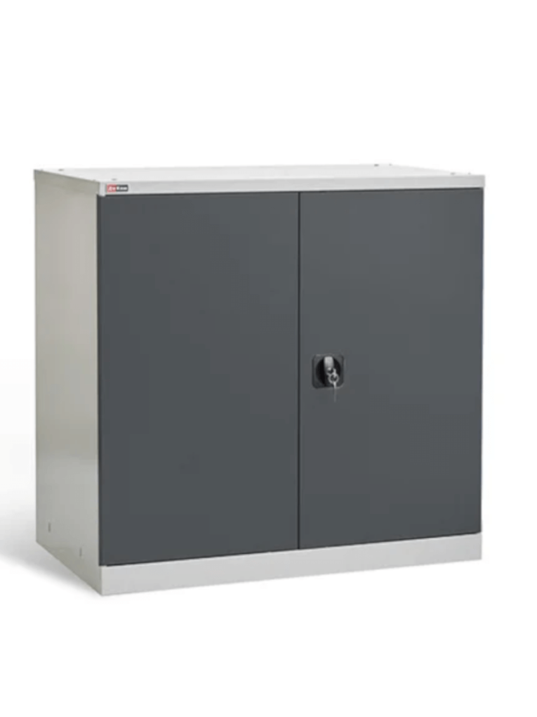 Шкаф инструментальный ДиКом ВЛ-051-02 купить в Котласе Шкаф инструментальный ДиКом ВЛ-051-02 купить в Котласе