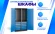 Шкаф антистатический SPC 181.2B2.2S1 купить в Котласе