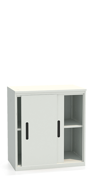 Шкаф-купе архивный ALS-8896 купить в Котласе Шкаф-купе архивный ALS-8896 купить в Котласе