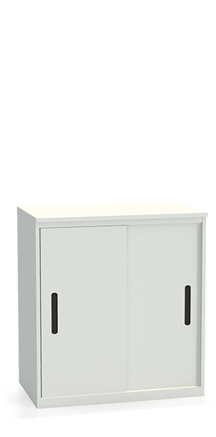 Шкаф-купе архивный ALS-8896 купить в Котласе Шкаф-купе архивный ALS-8896 купить в Котласе