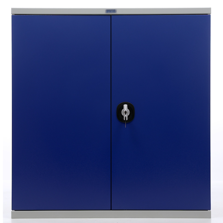 Шкаф инструментальный ТС 1095-1002010 купить в Котласе Шкаф инструментальный ТС 1095-1002010 купить в Котласе